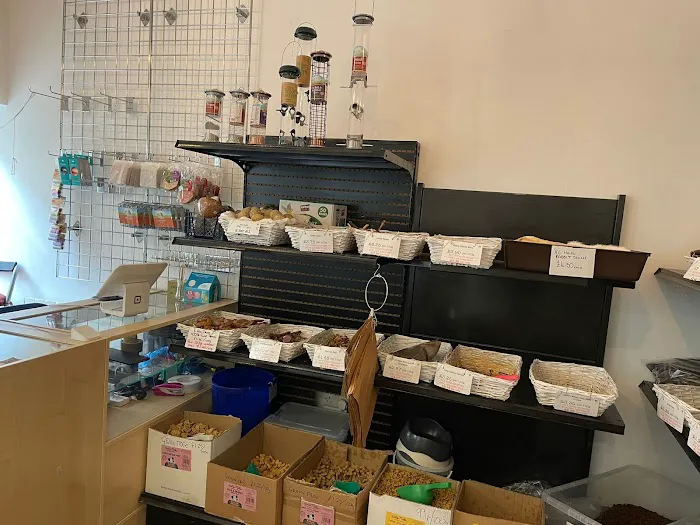 Pawsome Treats Picture 7