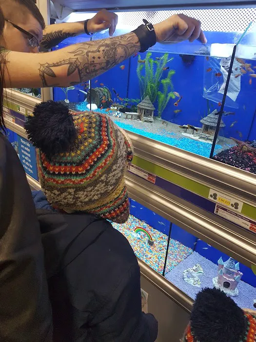 Pets at Home Mansfield Picture 2