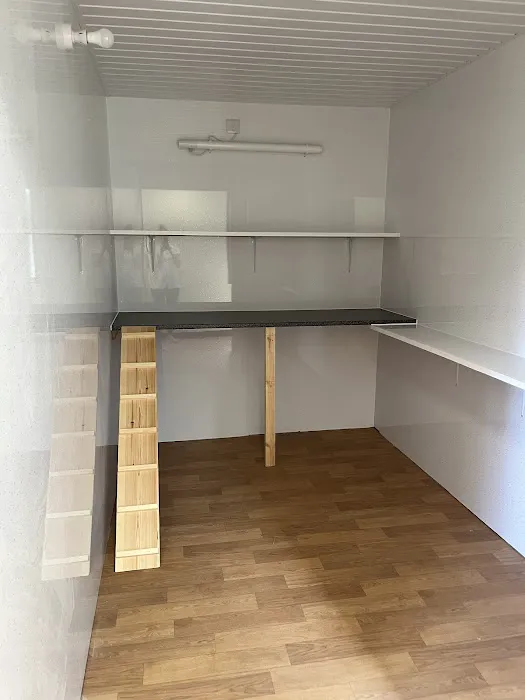 Malt Kiln Cattery Picture 4