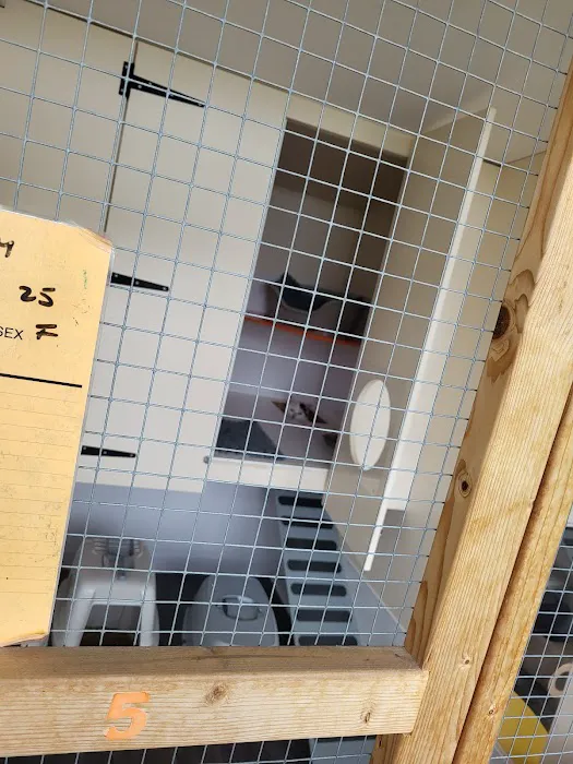 White Gates Cattery Picture 5