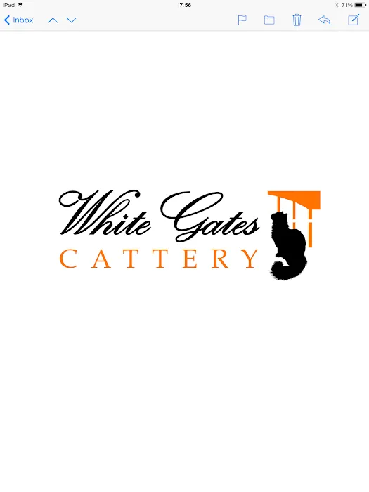 White Gates Cattery Picture 6