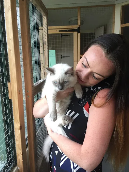 White Gates Cattery Picture 4