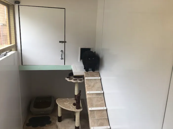 Purrs Cattery Picture 6