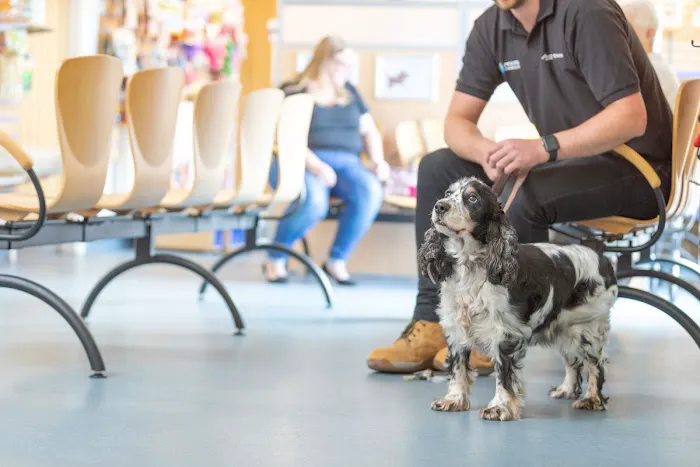 Park View Veterinary Hospital Picture 1
