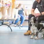 Park View Veterinary Hospital