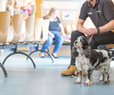 Park View Veterinary Hospital