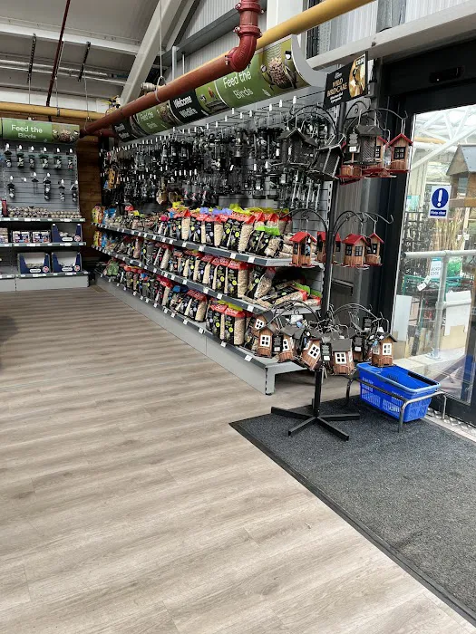 Maidenhead Aquatics Tong Picture 1