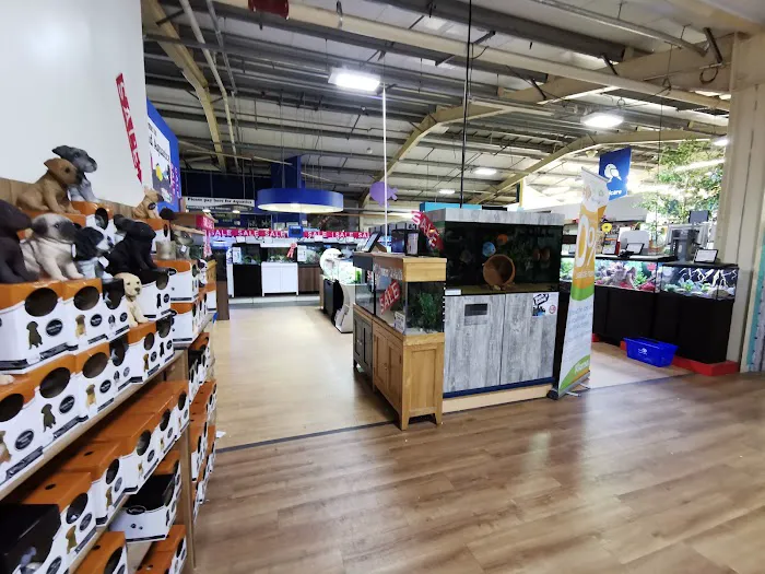 Maidenhead Aquatics Tong Picture 8