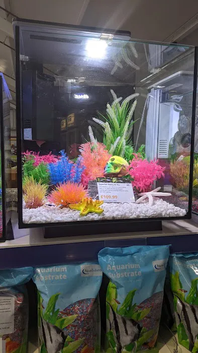 Maidenhead Aquatics Tong Picture 3