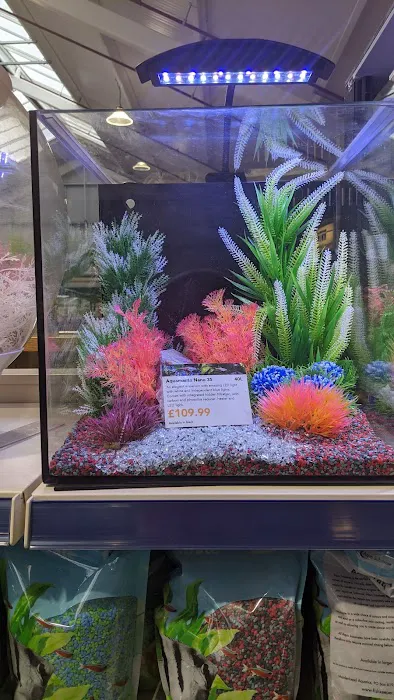 Maidenhead Aquatics Tong Picture 6