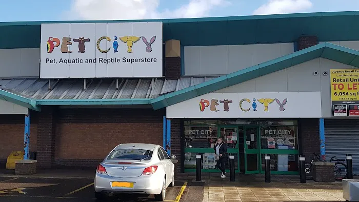 Pet City Picture 4