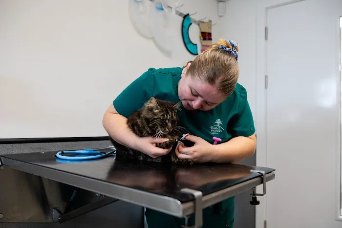 Oakhill Vets - Lytham Road Branch Picture 7