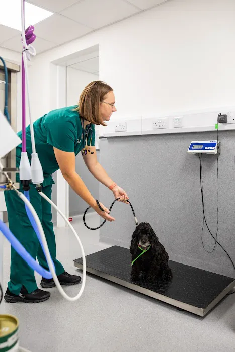 Oakhill Vets - Lytham Road Branch Picture 8