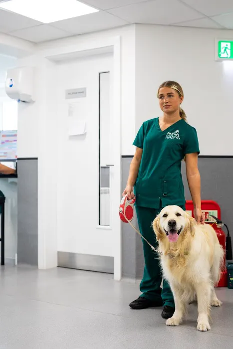 Oakhill Vets - Lytham Road Branch Picture 9