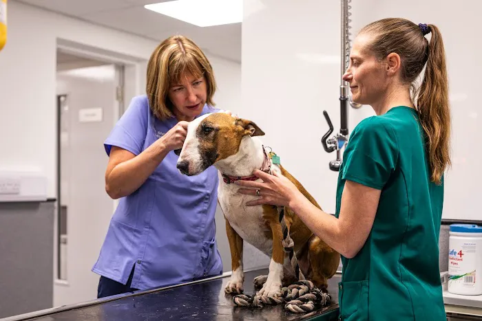 Oakhill Vets - Lytham Road Branch Picture 10