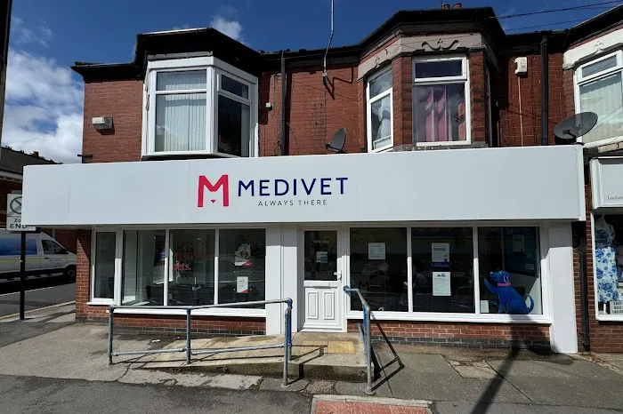 Medivet Hull the Avenues - Chants Vets Picture 3