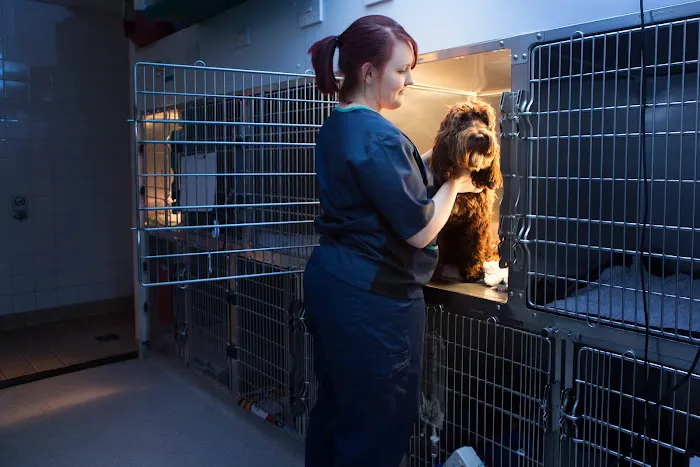 Vets Now Hull Picture 2