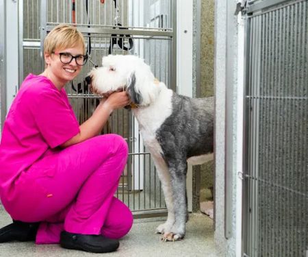 Kingston Veterinary Group