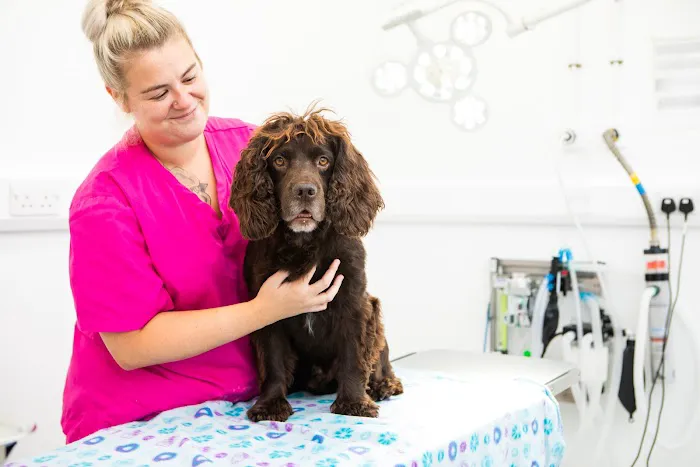 Kingston Veterinary Group Picture 6