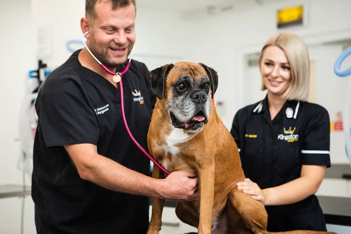 Kingston Veterinary Group Picture 5