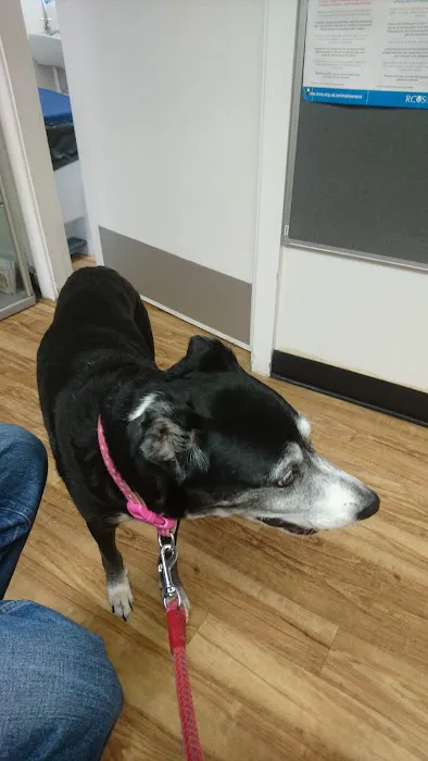 Hull PDSA Pet Hospital Picture 2