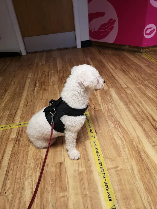Hull PDSA Pet Hospital Picture 4