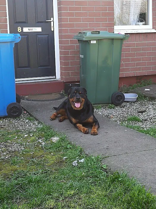 Hull PDSA Pet Hospital Picture 10