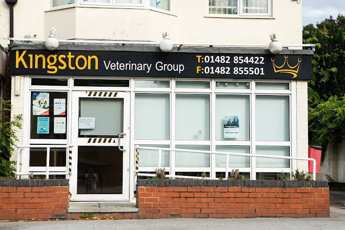 Kingston Veterinary Group Picture 3