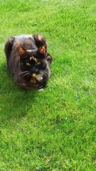 Vets4Pets - Hull Stoneferry Picture 1
