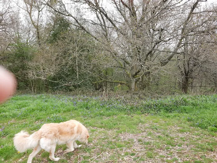Vets4Pets - Hull Stoneferry Picture 6