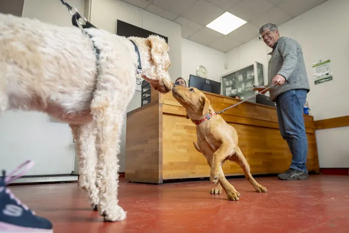 Barton Veterinary Centre Picture 2