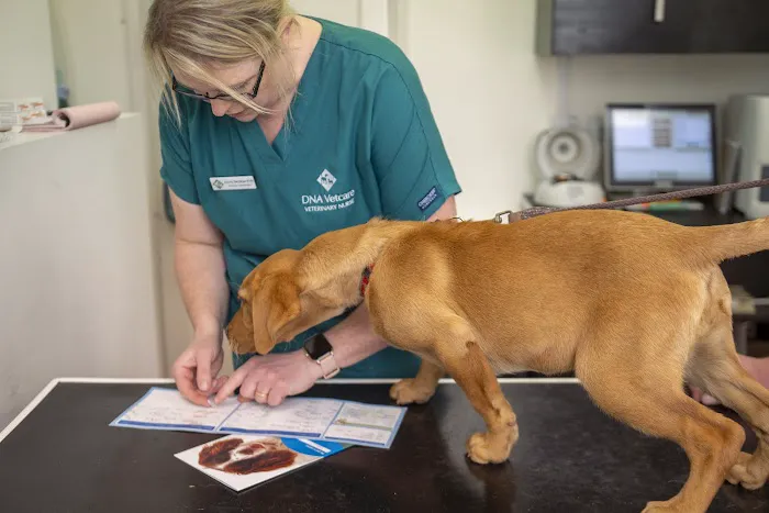 Barton Veterinary Centre Picture 9