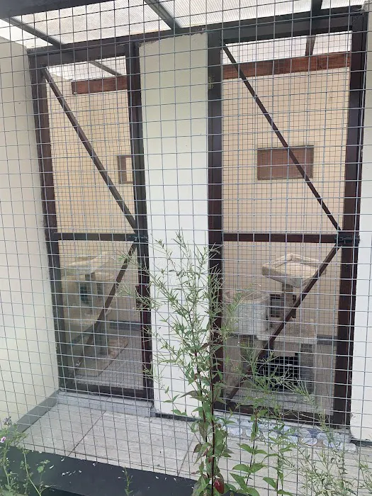 Hartleywood Cattery Picture 6