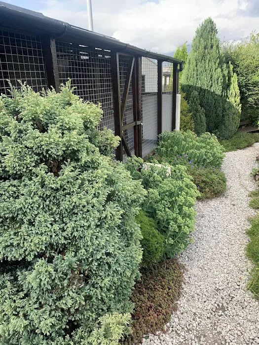 Hartleywood Cattery Picture 9