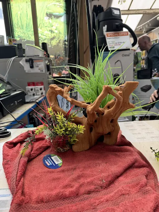 Maidenhead Aquatics Leeds North Picture 1