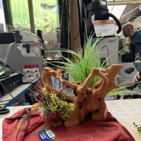 Maidenhead Aquatics Leeds North ico