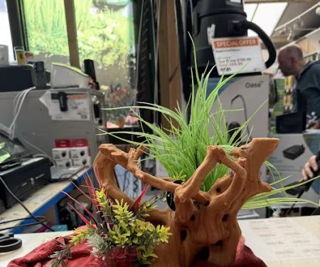 Maidenhead Aquatics Leeds North