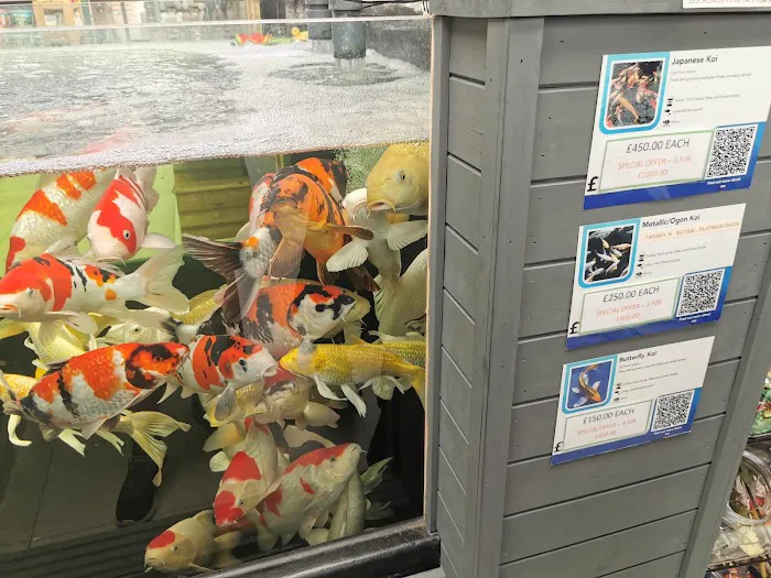 Maidenhead Aquatics Leeds North Picture 3