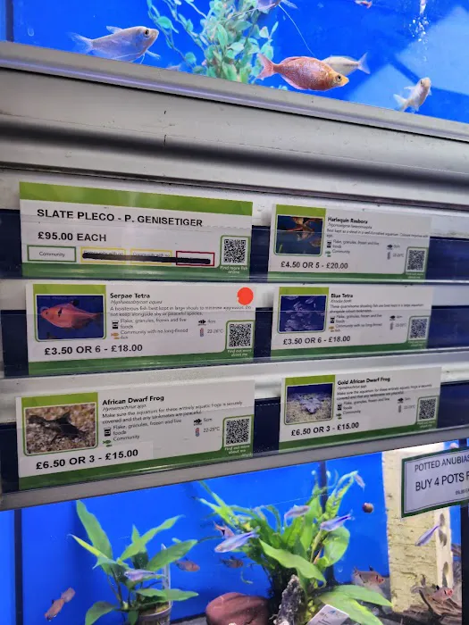 Maidenhead Aquatics Leeds North Picture 8