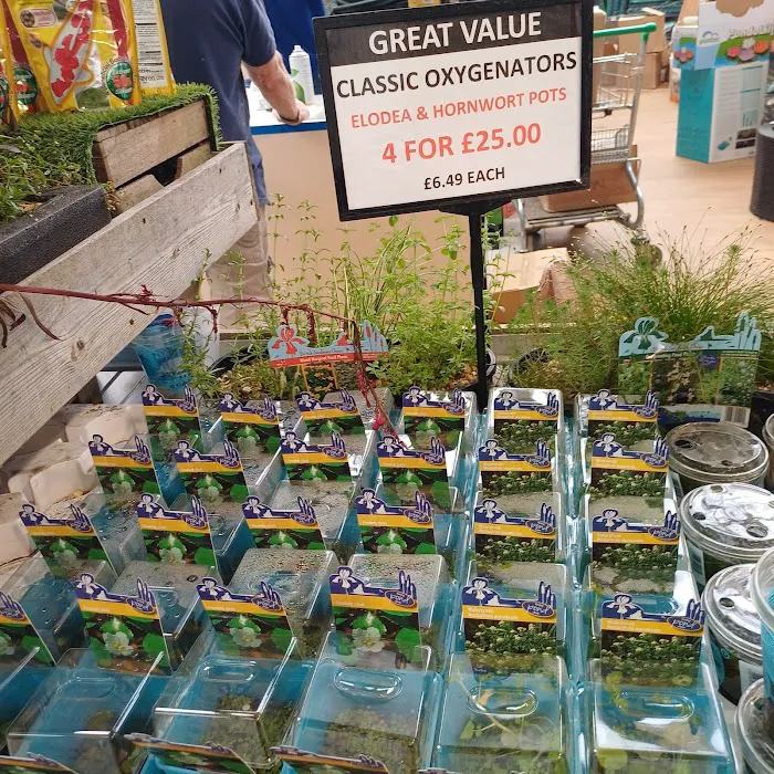 Maidenhead Aquatics Leeds North Picture 4