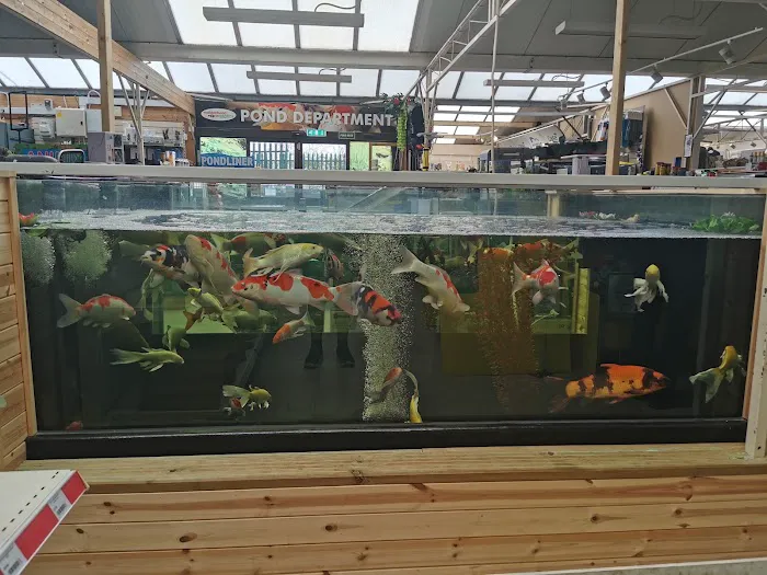 Maidenhead Aquatics Leeds North Picture 6