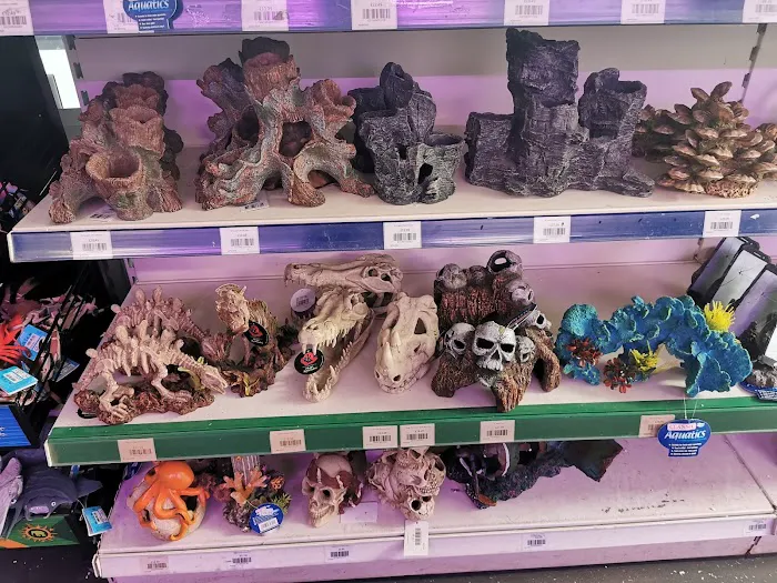 Maidenhead Aquatics Leeds North Picture 9