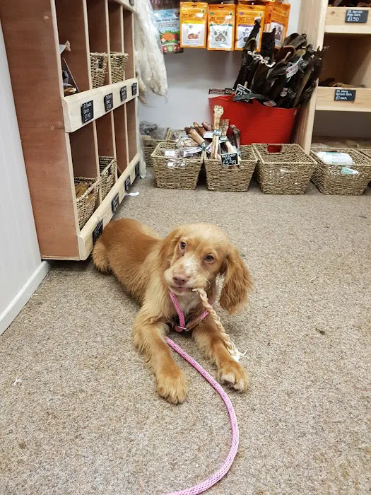 The Urban Pet Store Picture 7