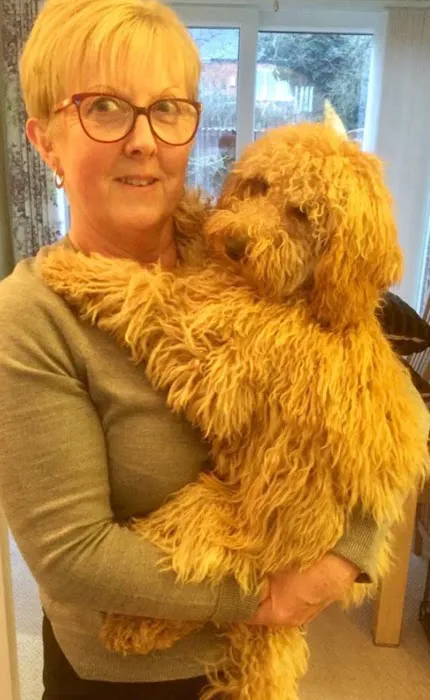 The Gables Veterinary Centre Picture 9