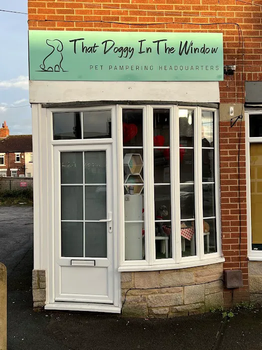 That Doggy In The Window Picture 1