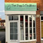 That Doggy In The Window