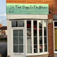 That Doggy In The Window ico