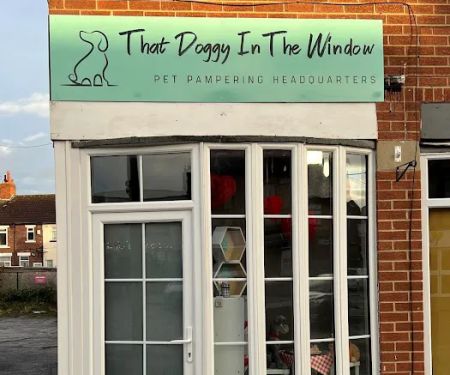 That Doggy In The Window