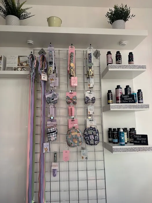 That Doggy In The Window Picture 5