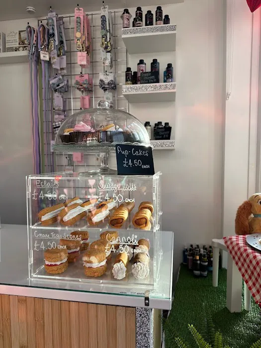 That Doggy In The Window Picture 4